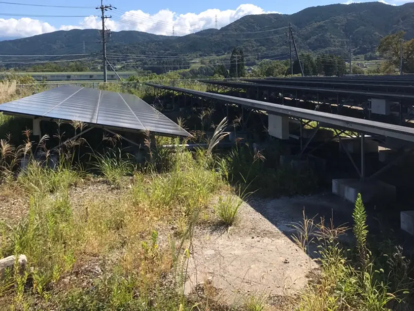 太陽光パネル周辺の除草作業